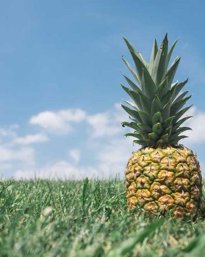 Prof. Sita Devi Adhikari